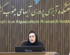 سخنرانی در نشست تخصصی بیوتکنولوژی دریا با عنوان «تهیه بانک ژن زنده ماهی باس دریایی آسیایی در ایستگاه تحقیقات ماهیان دریایی بندر امام خمینی و بررسی تنوع ژنتیکی جمعیت‌های آن»