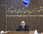 حسین هوشمند: مشارکت ارزشمند همکارخانم در دستاوردهای پژوهشکده/ تقدیر از فعالیت‌های ایشان