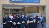 حسین هوشمند: مشارکت ارزشمند همکارخانم در دستاوردهای پژوهشکده/ تقدیر از فعالیت‌های ایشان