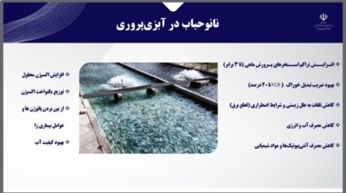 هماهنگی و هم‌افزایی بین محققان پژوهشکده و کارشناسان ستاد توسعه فناوری‌های نانو و میکرو معاونت علمی، فناوری و اقتصاد دانش‌بنیان ریاست‌جمهوری برای رفع چالش‌ها و توسعه پروژه‌های مشترک