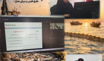 بررسی راهکارهای ایجاد ارزش افزوده از ضایعات فرآوری تن‌ماهیان در نشست وبیناری سه‌جانبه