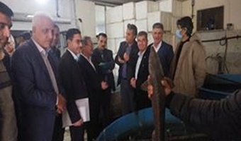 تأکید رئیس سازمان تحقیقات، آموزش و ترویج کشاورزی بر تقویت تحقیقات شیلاتی در آب‌های داخلی