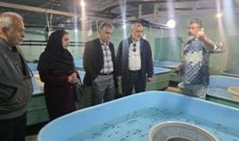 بازدید اعضای هیأت علمی مؤسسه از مجتمع پرورش ماهیان خاویاری فتحی و طرح پیشنهاد تبدیل آن به مزرعه نوآوری