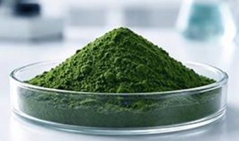 گزارش پیشرفت پروژه‌های تحقیقاتی بخش زیست‌فناوری و فرآوری آبزیان ارائه شد