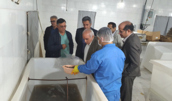 ارزیابی فنی ایستگاه قره‌سو و بررسی میدانی روند پرورش و فرآوری میگوی گمیشان