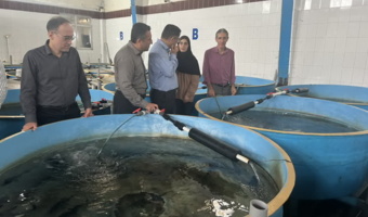 بازدید استادان دانشگاه شیلات گیلان از انستیتو تحقیقات بین‌المللی ماهیان خاویاری