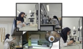 دستیابی به فناوری تکثیر میکروجلبک‌های بومی گیلان