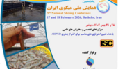 از هوش مصنوعی تا اصلاح ساختار؛ محورهای پنجمین همایش ملی میگوی ایران در بوشهر