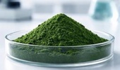 گزارش پیشرفت پروژه‌های تحقیقاتی بخش زیست‌فناوری و فرآوری آبزیان ارائه شد