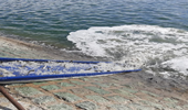 آغاز فرآیند تصفیه بیولوژیک دریاچه شهدای خلیج فارس با رهاسازی گونه‌های منتخب آبزی انجام شد