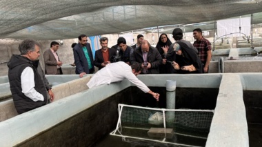روز مزرعه تکثیر ماهی تیلاپیا در شرکت نیل‌آبزیست برگزار شد