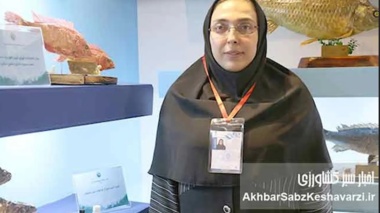 برای نخستین بار در کشور؛ نسل ششم پرورشی ماهی آزاد دریای کاسپین وارد قفس‌های پرورش ماهی شد