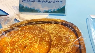 "فتیر ماهی" محصول پرمخاطب نهمین نمایشگاه بین‌المللی شیلات شد