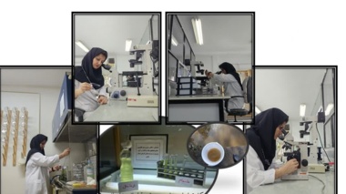 دستیابی به فناوری تکثیر میکروجلبک‌های بومی گیلان