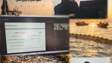 بررسی راهکارهای ایجاد ارزش افزوده از ضایعات فرآوری تن‌ماهیان در نشست وبیناری سه‌جانبه