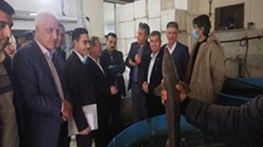 تأکید رئیس سازمان تحقیقات، آموزش و ترویج کشاورزی بر تقویت تحقیقات شیلاتی در آب‌های داخلی