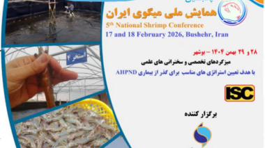 از هوش مصنوعی تا اصلاح ساختار؛ محورهای پنجمین همایش ملی میگوی ایران در بوشهر