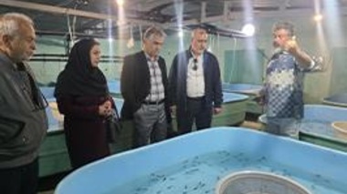 بازدید اعضای هیأت علمی مؤسسه از مجتمع پرورش ماهیان خاویاری فتحی و طرح پیشنهاد تبدیل آن به مزرعه نوآوری