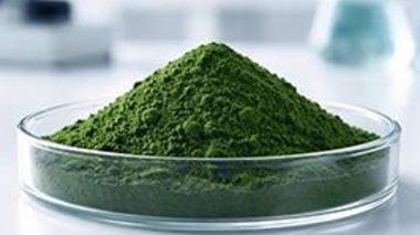 گزارش پیشرفت پروژه‌های تحقیقاتی بخش زیست‌فناوری و فرآوری آبزیان ارائه شد
