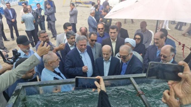برداشت محصول ماهی آزاد بومی از قفس‌های دریای خزر در مازندران