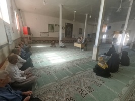 دوره آموزشی «پرورش بهداشتی کلنی‌های زنبور عسل» در شهرک نبوت برگزار شد