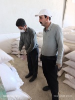 نمونه‌برداری از پارت‌های بذور گندم و جو تولید مرکز تحقیقات کشاورزی ایلام انجام شد