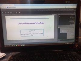 محقق مرکز تحقیقات کشاورزی: هیدروپونیک راهکاری مؤثر برای افزایش تولید و مقابله با محدودیت منابع آب و خاک