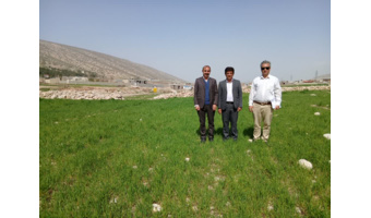 پایگاه نوآوری دیم ایوان؛ راهبردی برای خودکفایی و تاب‌آوری کشاورزان منطقه