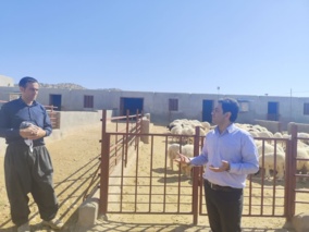 کارگاه یاوران تولید  «پرواربندی بره» با محوریت تغذیه علمی و انتخاب نژاد بومی در ایوان برگزار شد