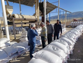 ارزیابی و نمونه‌برداری از پارت‌های بذر گندم و جو اصلاح‌شده در استان ایلام: