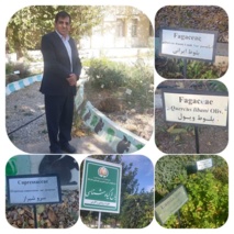 ایلام، میزبان مرکز ملی ذخایر ژنتیکی گیاهی و چوبی شد