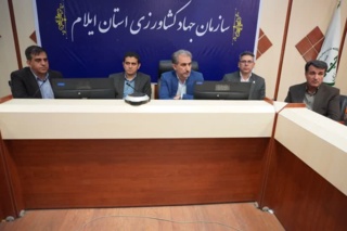 اجرای نخستین دوره تحقیقات تخصصی حوزه آرد و نان کشور در ایلام