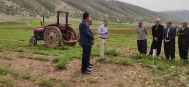 روز مزرعه ایلام؛ گامی عملی برای آشنایی کشاورزان با ارقام جدید نخود و عدس و روش‌های نوین افزایش عملکرد در دیم‌زارها