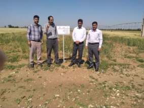 پایش دقیق مزارع تولید بذور پیش‌پایه گندم و جو دیم در ایلام