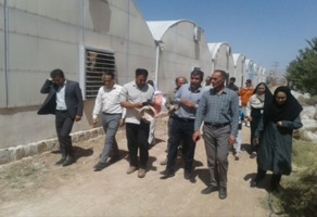 برگزاری دوره آموزشی توسط عضو هیات‌علمی بخش تحقیقات کنترل بیولوژیک موسسه تحقیقات گیاه‌پزشکی کشور؛