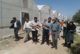 برگزاری دوره آموزشی توسط عضو هیات‌علمی بخش تحقیقات کنترل بیولوژیک موسسه تحقیقات گیاه‌پزشکی کشور؛