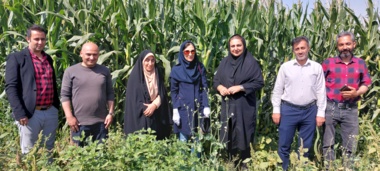 به همت عضو هیات علمی بخش تحقیقات حشره‌شناسی کشاورزی موسسه تحقیقات گیاه‌پزشکی کشور؛