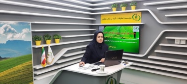 برگزاری وبینار آموزشی در موسسه تحقیقات گیاه‌پزشکی کشور؛