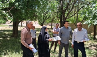 برگزاری کارگاه آموزشی مبارزه با آفت کرم خراط در روستای چاورچی جوزم از توابع شهربابک