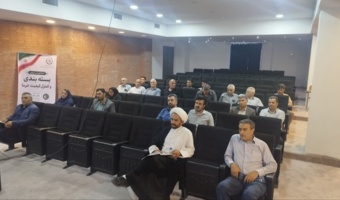 مدیریت کیفیت خرما از نخلستان تا بازار؛ تأکید بر نقش بسته‌بندی و کنترل کیفیت