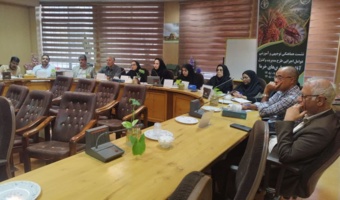 گامی ملی برای مقابله با آفات نخل خرما؛ برگزاری نشست تخصصی سرخرطومی حنایی در استان کرمان