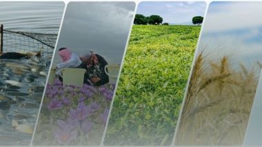 عنوان خبر تستی
