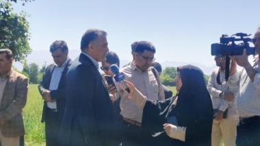 همزمان با روز مزرعه دردانشگاه شهید باهنر کرمان، رقم جدید گندم نان با نام رخشان، با پتانسیل عملکرد بالا و مصرف آب کمتر معرفی شد
