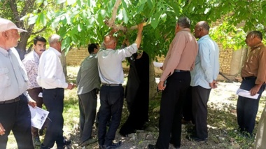 برگزاری کارگاه آموزشی مبارزه با آفت کرم خراط در روستای چاورچی جوزم از توابع شهربابک