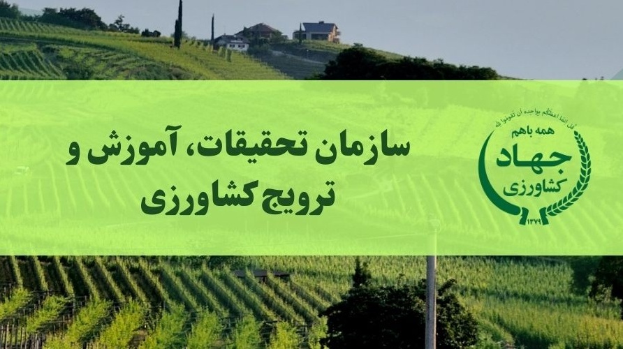 معرفی سازمان