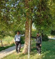 استفاده از شبکه‌های عصبی مصنوعی، انقلابی در شناسایی مناطق مستعد کشت گونه‌های جنگلی است