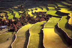 بانکت‌بندی و سکوبندی، کلید مهار رسوب و تضمین عمر سدها