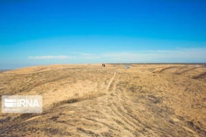 یک پژوهشگر: مقابله با بیابان‌زایی در گرو مشارکت همگانی است