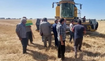 سوزاندن بقایای مزارع، تهدیدی برای خاک و بهره‌وری گندم
