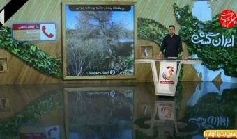 ایجاد کلکسیون پده؛ مسیری برای حفاظت و احیای اکوسیستم‌های کرانرودی و توسعه زراعت چوب در خوزستان